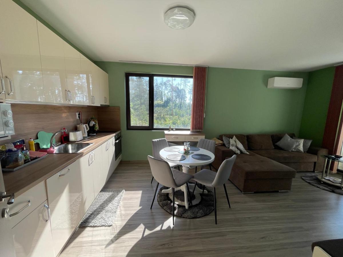 Appartamento Nikol Deluxe Velingrad Esterno foto
